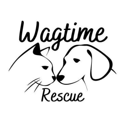 Wagtime Rescue - Pet Shelter and Rescue in Kitchener, Ontario