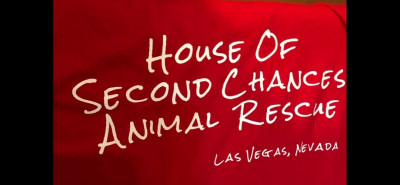 House Of Second Chances Animal Rescue - Pet Shelter and Rescue in Las Vegas, Nevada