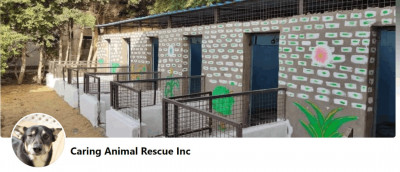 Caring Animal Rescue INC - Pet Shelter and Rescue in Chicago, Illinois