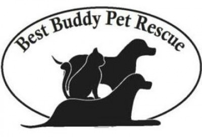 Best Buddy Pet Rescue - Pet Shelter and Rescue in Lake Orion, Michigan