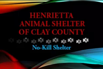 Clay County Animal Shelter, Inc. - Pet Shelter and Rescue in Henrietta, Texas