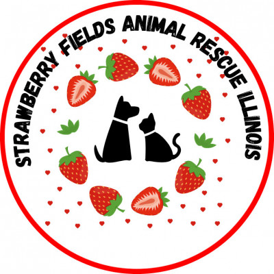 Strawberry Fields Animal Rescue Illinois - Pet Shelter and Rescue in Winthrop Harbor, Illinois