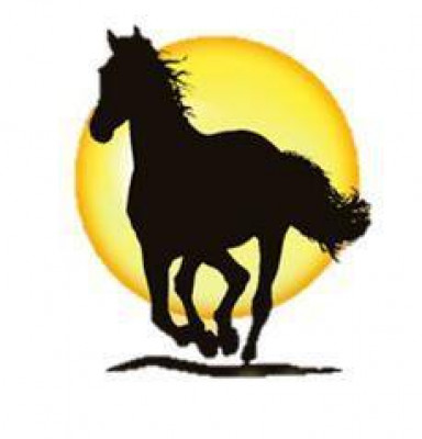 Sunshine Horses, Inc. - Pet Shelter and Rescue in Clay, New York