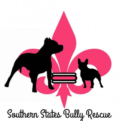 Southern States Bully Rescue - Pet Shelter and Rescue in Lutz, Florida