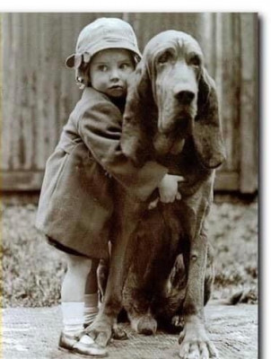 Canine Castle - Pet Shelter and Rescue