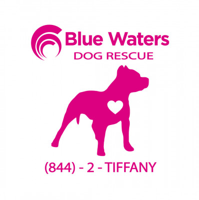 Blue Waters Dog Rescue - Pet Shelter and Rescue in Pompano Beach, Florida