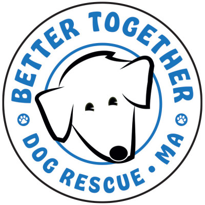 Better Together Dog Rescue - Pet Shelter and Rescue in Leverett, Massachusetts