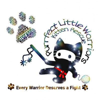 Purrfect Little Warriors Inc - Pet Shelter and Rescue in Elyria, Ohio