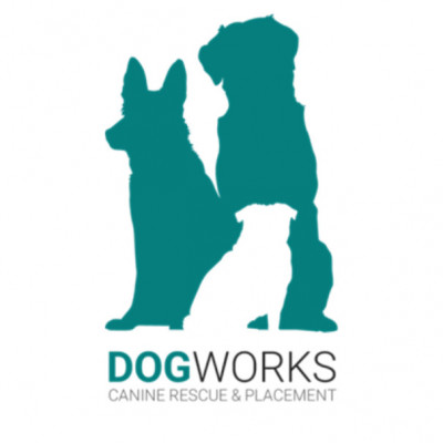 DogWorks Inc. Canine Rescue And Placement - Pet Shelter and Rescue in Toledo, Ohio