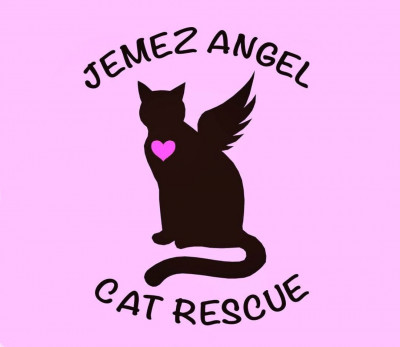 Jemez Angel Cat Rescue - Pet Shelter and Rescue in Jemez Pueblo, New Mexico