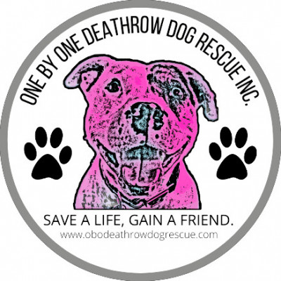 One By One Deathrow Dog Rescue Inc - Pet Shelter and Rescue in Fredericksburg, Virginia