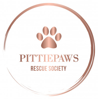 PittiePaws Rescue Society - Pet Shelter and Rescue in Vancouver, British Columbia