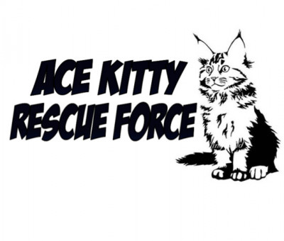 Ace Kitty Rescue Force Corp - Pet Shelter and Rescue in San Jose, California