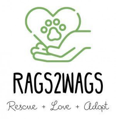 Rags2Wags, INC - Pet Shelter and Rescue