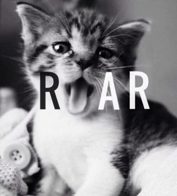 ROAR - Pet Shelter and Rescue in Gilbert, Arizona