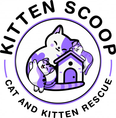 Kitten Scoop - Pet Shelter and Rescue in Greensburg, Pennsylvania