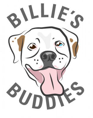 Billie’s Buddies - Pet Shelter and Rescue in Charlotte, North Carolina
