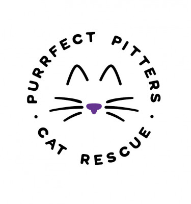 Purrfect Pitters Cat Rescue - Pet Shelter and Rescue in Lake Katrine, New York