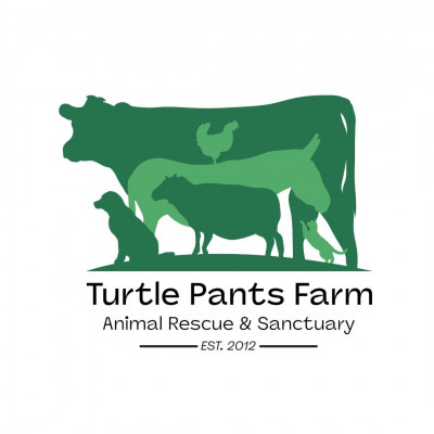 Turtle Pants Farm - Pet Shelter and Rescue in Pittsboro, North Carolina