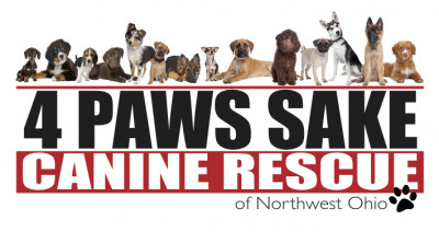 4 Paws Sake, Inc. - Pet Shelter and Rescue in Whitehouse, Ohio