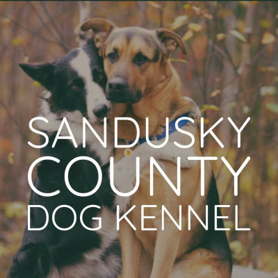 Sandusky County Dog Shelter - Pet Shelter and Rescue in Fremont, Ohio