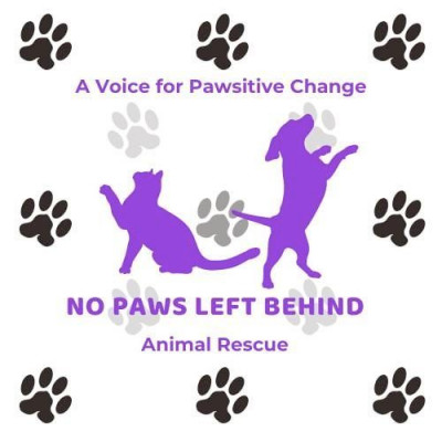 No Paws Left Behind Animal Rescue - Pet Shelter and Rescue in Claridge, Pennsylvania