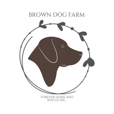 Brown Dog Farm, Inc. - Pet Shelter and Rescue in Strafford, Vermont