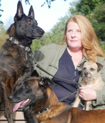 SMD Rescue - Pet Shelter and Rescue in Glastonbury, Connecticut