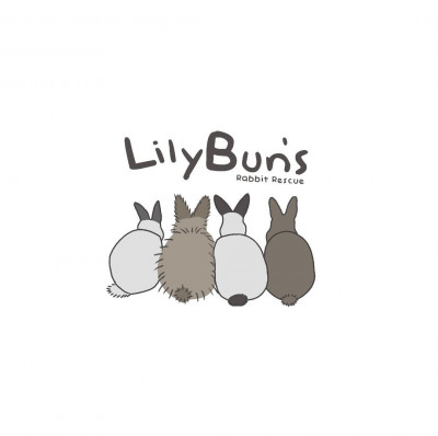 Lily Buns Rabbit Rescue - Pet Shelter and Rescue in Swansea, Illinois
