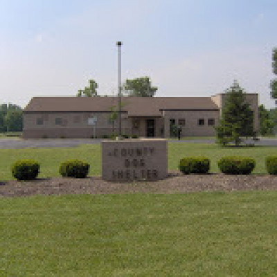 Wood County Dog Shelter - Pet Shelter and Rescue in Bowling Green, Ohio