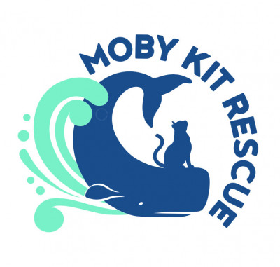 Moby Kit Rescue - Pet Shelter and Rescue in New Bedford, Massachusetts