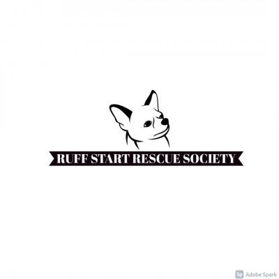 Ruff Start Rescue Society - Pet Shelter and Rescue in Didsbury, Alberta