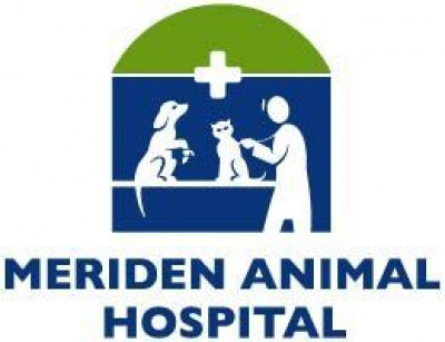 Meriden Animal Hospital - Pet Shelter and Rescue in Meriden, Connecticut