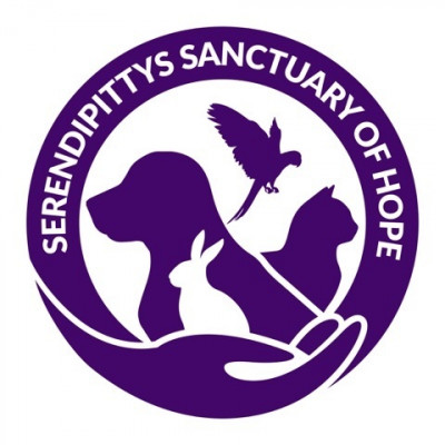 Serendipittys Sanctuary Of Hope - Pet Shelter and Rescue in Galesburg, Illinois