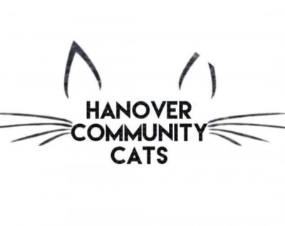 Hanover Community Cats - Pet Shelter and Rescue in Ashland, Virginia