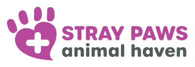 Stray Paws Animal Haven - Pet Shelter and Rescue in South El Monte, California