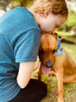 CVAAG - Pet Shelter and Rescue in Reidsville, North Carolina