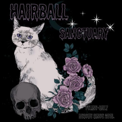 Hairball Sanctuary Limited - Pet Shelter and Rescue
