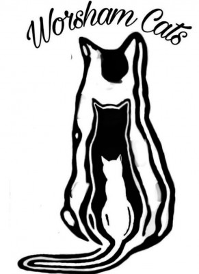 Worsham Cats - Pet Shelter and Rescue in Midlothian, Virginia