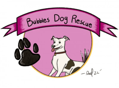 Bubbles Dog Rescue - Pet Shelter and Rescue in Santa Monica, California