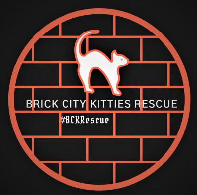 Brick City Kitties Rescue - Pet Shelter and Rescue in Newark, New Jersey