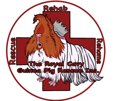 The Royal Cavy Guinea Pig Rescue Inc. - Pet Shelter and Rescue in Largo, Florida