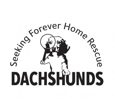 Dachshunds Seeking Forever Home Rescue - Pet Shelter and Rescue in Plant City, Florida