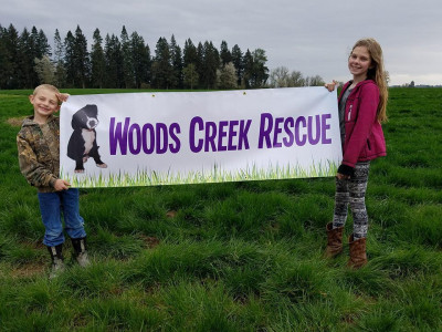 Woods Creek Rescue - Pet Shelter and Rescue in Silverton, Oregon