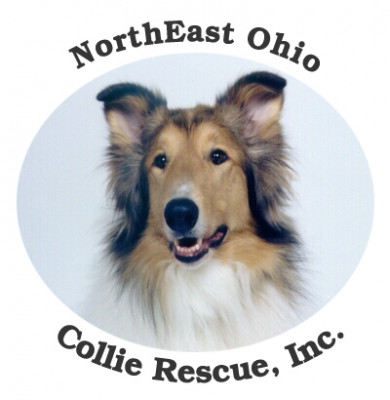NorthEast Ohio Collie Rescue - Pet Shelter and Rescue in Elyria, Ohio