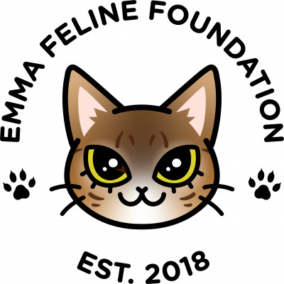 Emma Feline Foundation, Inc. - Pet Shelter and Rescue in Carolina, Carolina