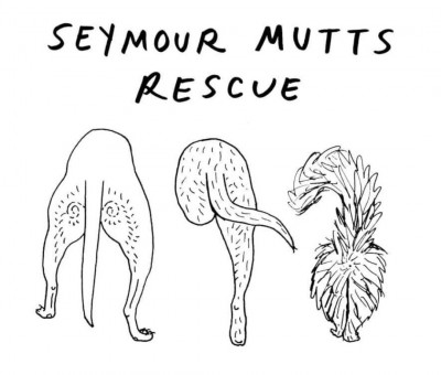 Seymour Mutts Rescue - Pet Shelter and Rescue in Madison, Wisconsin