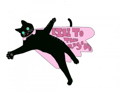 Lili To The Rescue - Pet Shelter and Rescue in Hartford, Connecticut