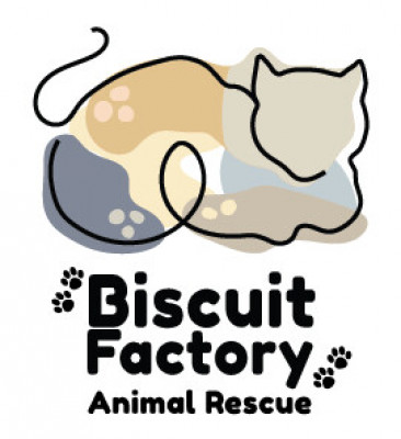 Biscuit Factory Animal Rescue, Inc. - Pet Shelter and Rescue in Greenfield, Indiana