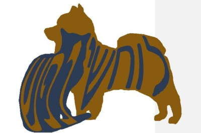 Nefesh Whisperers - Pet Shelter and Rescue in Springfield, Massachusetts